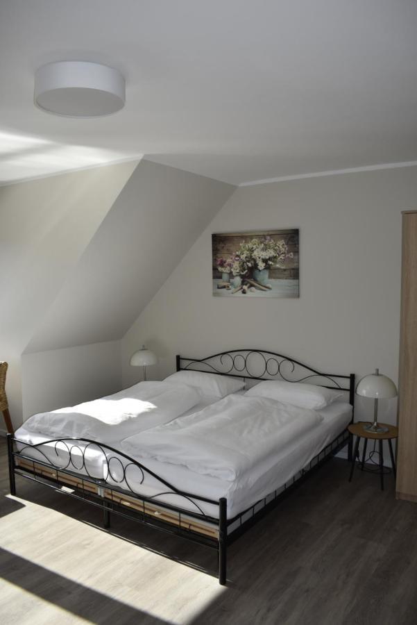 Pension Zur Schleuse Garni Am Elbe Luebeck - Kanal In Witzeeze Екстер'єр фото